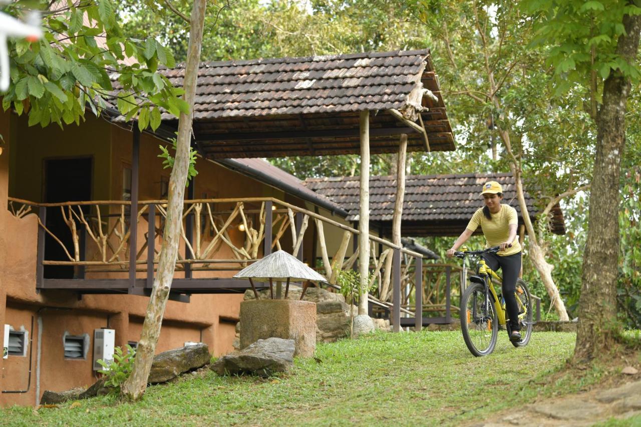 דירות מונאר Beyond Eco Living מראה חיצוני תמונה