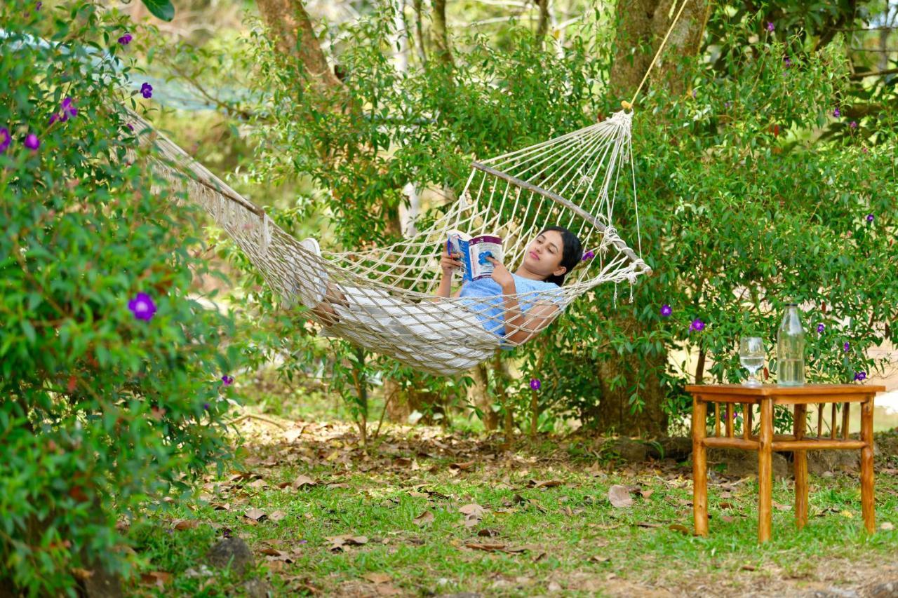 דירות מונאר Beyond Eco Living מראה חיצוני תמונה